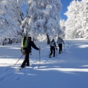 Skitour in tief verschneiter Landschaft