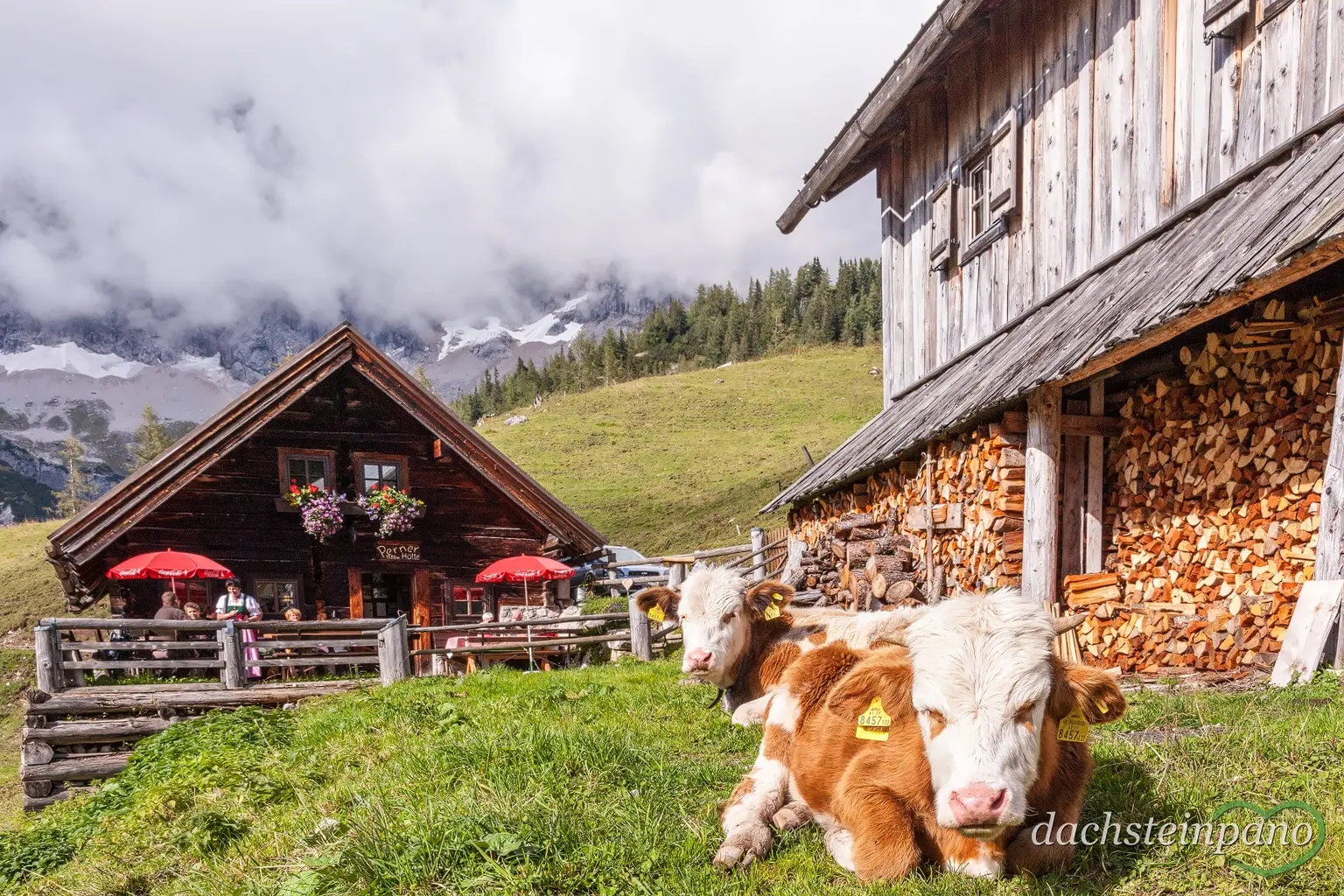 Urlaub in Ramsau am Dachstein