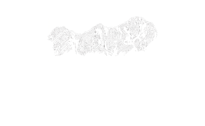 logo-2026-white