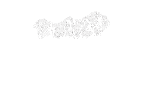 logo-2026-white